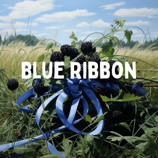 Blue Ribbon (Soft Blackberry)
