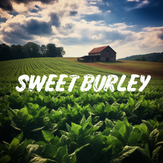 Sweet Burley