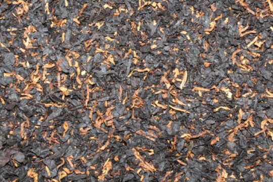 Tabac du Chocolat (Chocolate) - Image 2