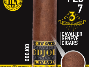 LCA Oddjob 3yr by Cavalier Genève