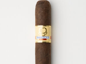 Asylum Insidious Maduro