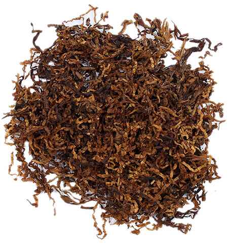 wild aztec tobacco Nicotiana rustica, Aztec Tobacco