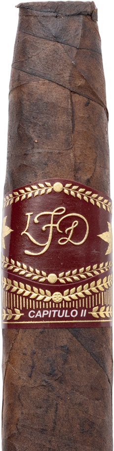 LFD Capitulo II